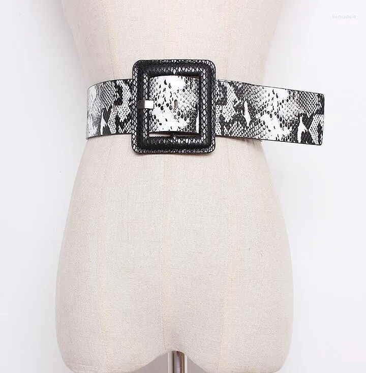 Belts Women's Runway Fashion Snake Skin Print PU Leather Cummerbunds Female Dress Corsets Waistband Decoration Wide Belt R1661