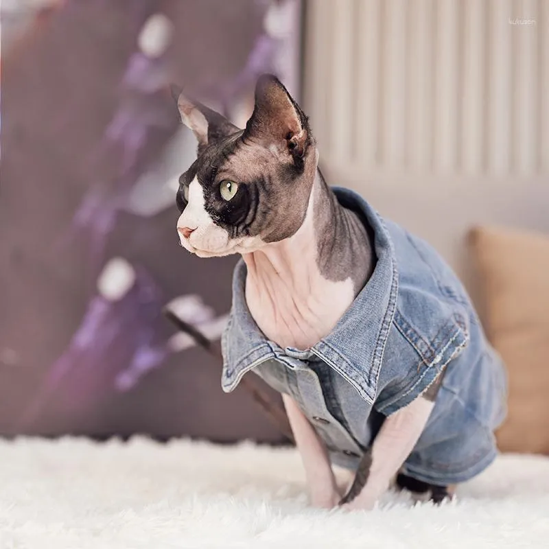 Costumi per gatti Stile Cowboy Pet Dress Sphynx Abiti senza peli per Devon Rex Conis Costume Kitten Outfits