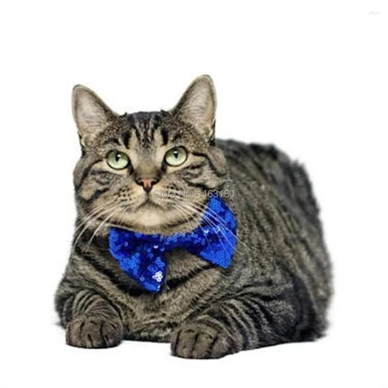 Vestuário para cães 100 Pçs / lote Moda Lantejoulas Pet Bowtie Cat Bow Tie Collar para Aniversário Natal Roupas Acessórios Suprimentos