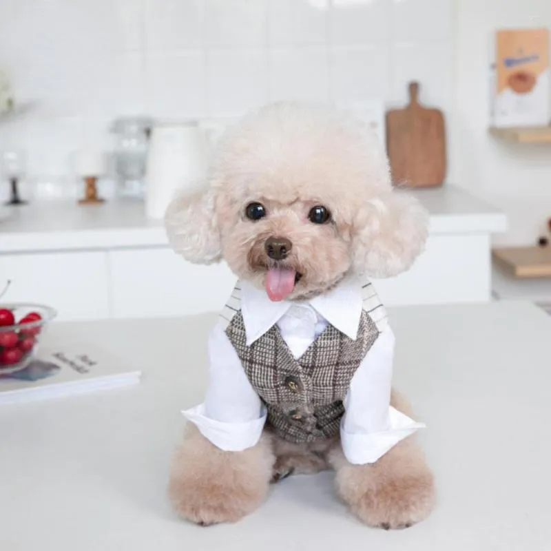 Hundkläder Autumn Winter Pet Suit Vest Coat White Shirt Wedding Clothing Cat Clothing Teddy Puppy