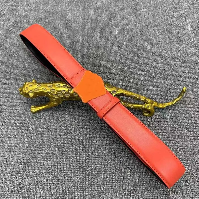 Bälte för män äkta läder 3,8 cm bredd män kvinnor designer bälten huvud spänne kvinnor ceinture midjeband cintura ceintures tillbehör orange rött