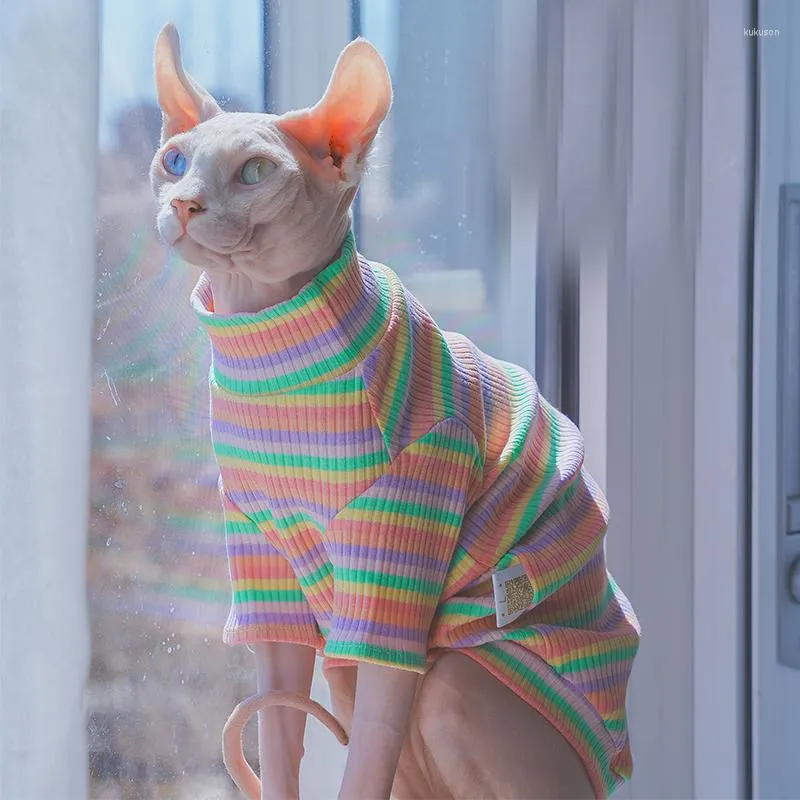 Costumi per gatti Vestiti senza peli Primavera Estate Conis Devon Rex dai piedi corti Abiti per gatti Gatti che indossano abiti Sphynx