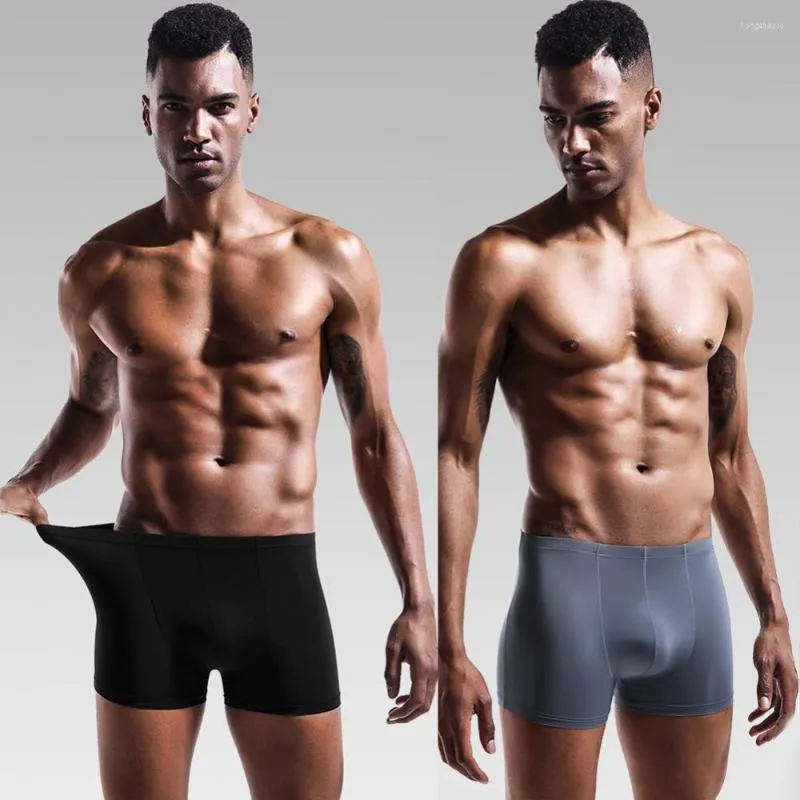 Boxers transparentes new arrivals