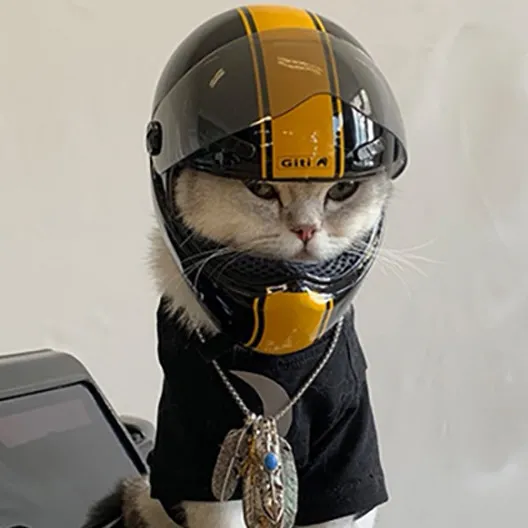 Hondenkleding Huisdier Kleine helm Kat en motorhoed Outdoor Sieraden Pografie Rekwisieten Accessoires Honden 230919