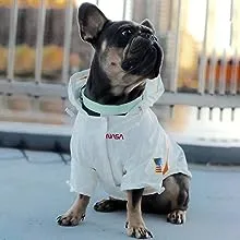 chochocho nasa dog raincoat