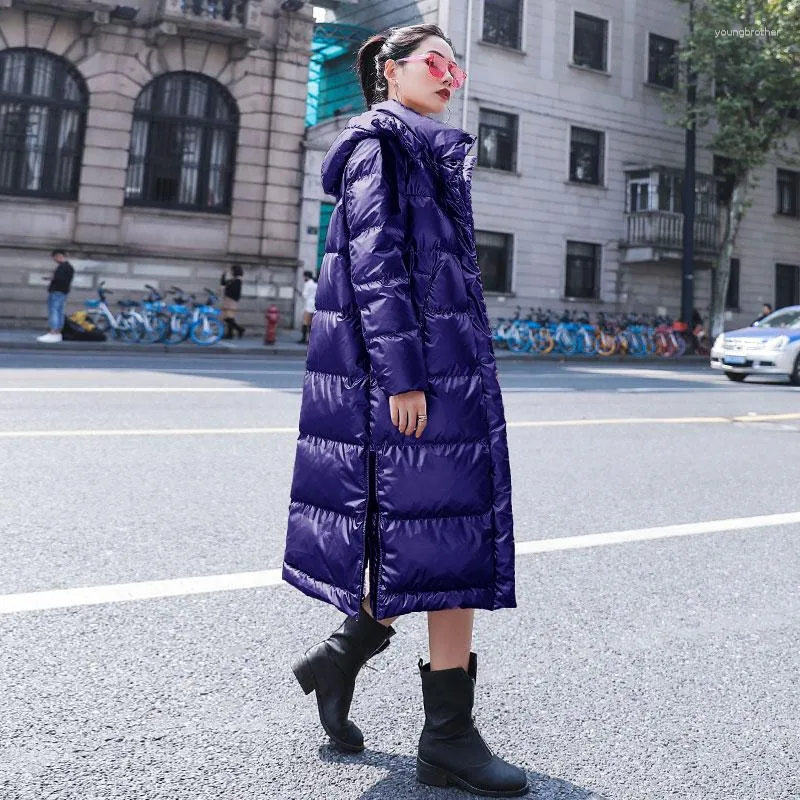 Plus size shiny best sale coat