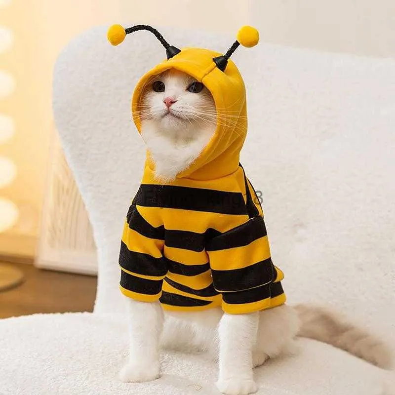 Kedi Kostümleri Köpek Arı Kostüm Pet Arı Cadılar Bayramı Hoodies Yumuşak Kedi Tatil Cosplay Sıcak Giysiler Komik Kıyafetler Küçük Orta Köpekler HKD230921