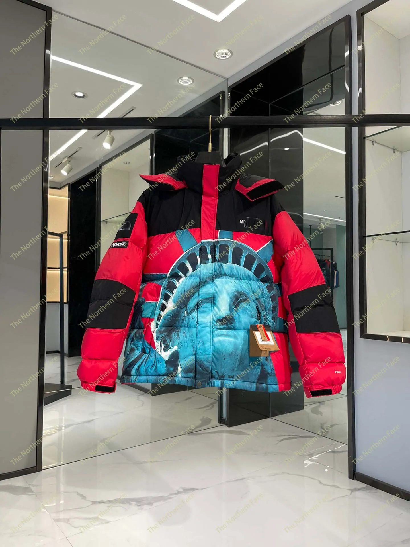 north the face jacket x Statue of Liberty Puffer Jackets Men Designer Real Outdoor Windbreaker Supre x me FW19 Week 10 X The north Statue of Liberty Baltoro Jacket