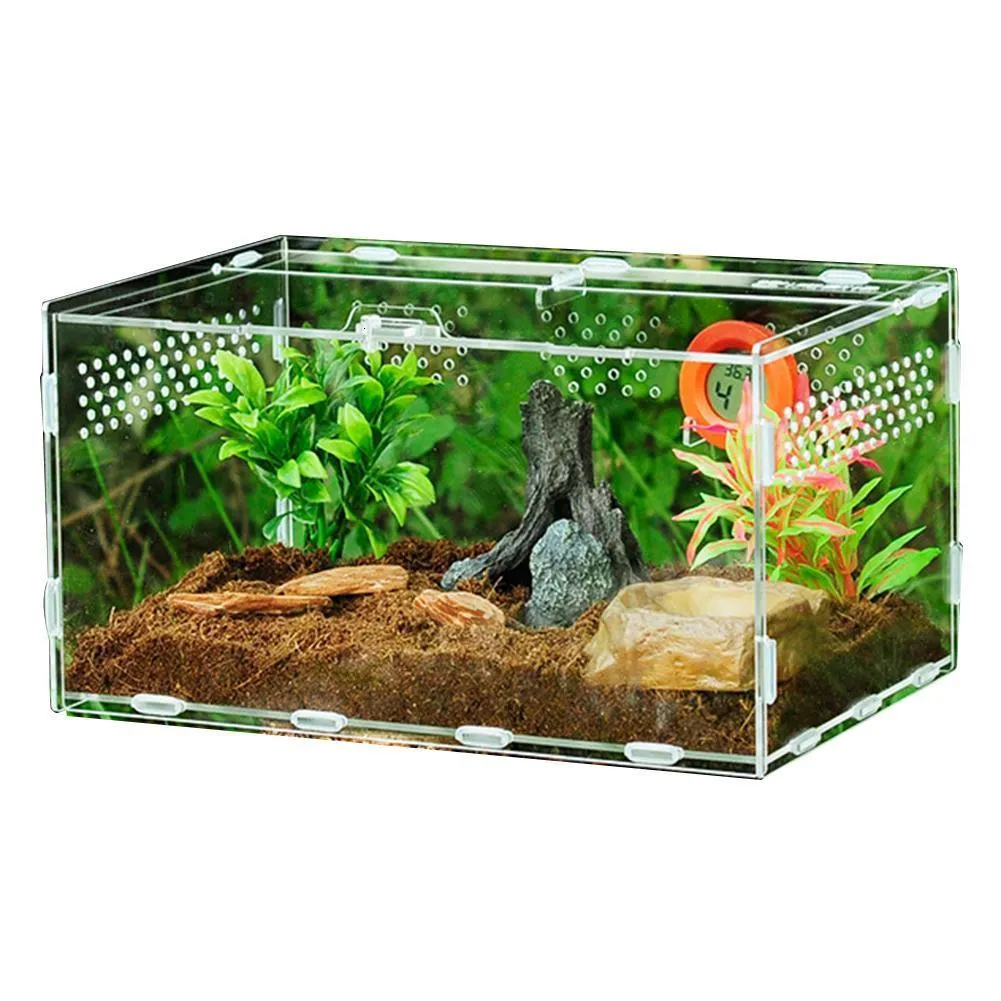 Gad dostarcza akrylowe pudełko na pająki jaszczurowe jaszczurki hodowlane otwory wentylacyjne ślizgające się małe pet terrarium vivarium 230920