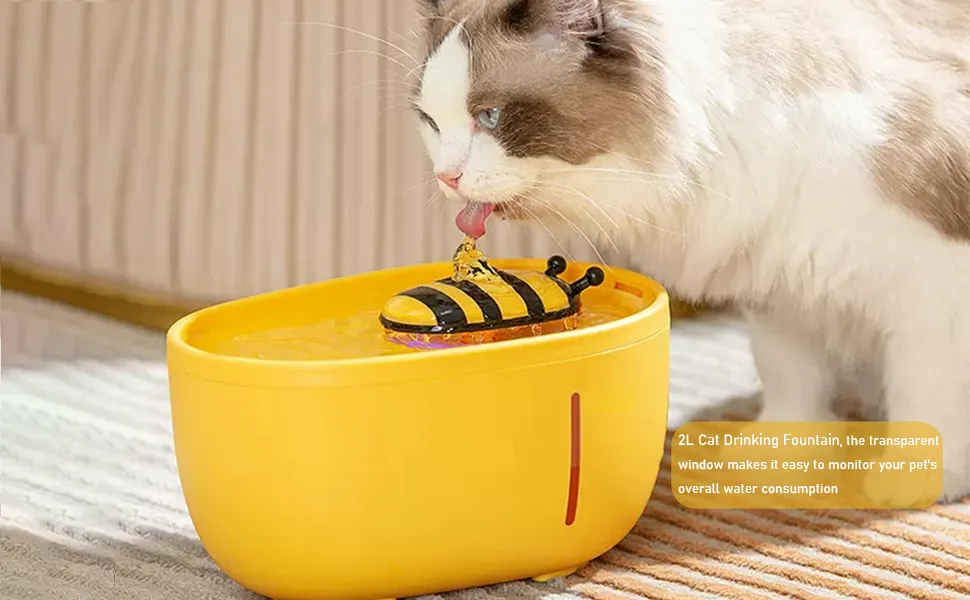 Cat water fountain