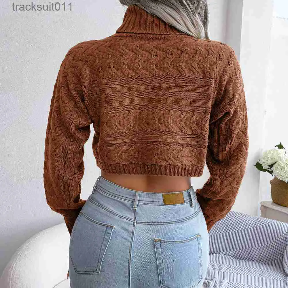 Turtleneck crop top sweater hotsell