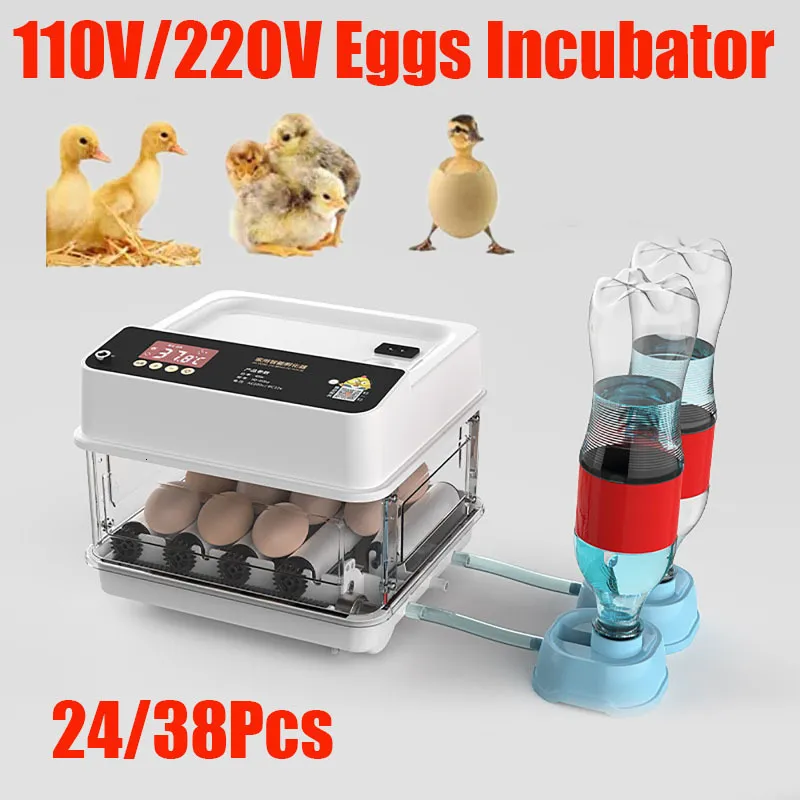 Automatic Farm Automatic Computer Control Incubator Brooder For Eggs