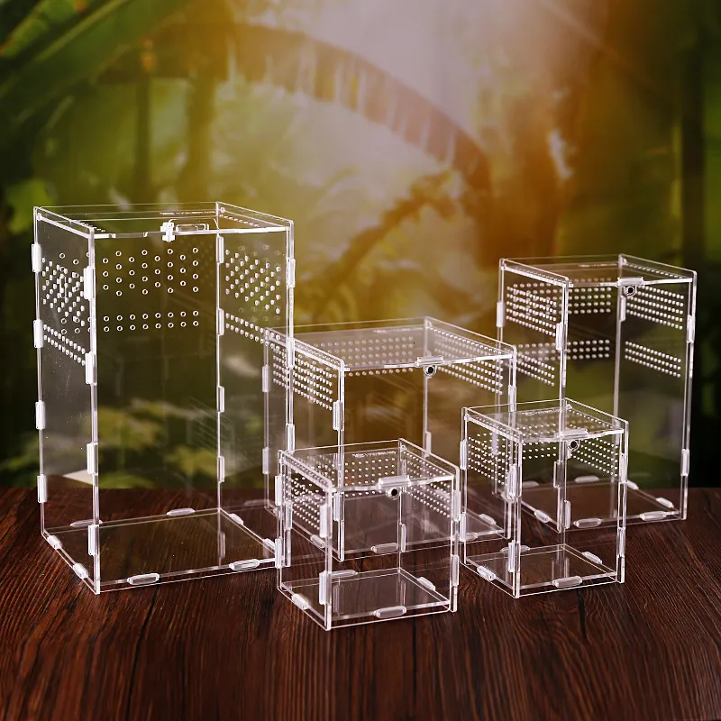 Reptielbenodigdheden Kweekbox Acryl Spider Hagedis Schorpioen Enti's Gemonteerd Transparant Insect Ademend Terrarium 230920