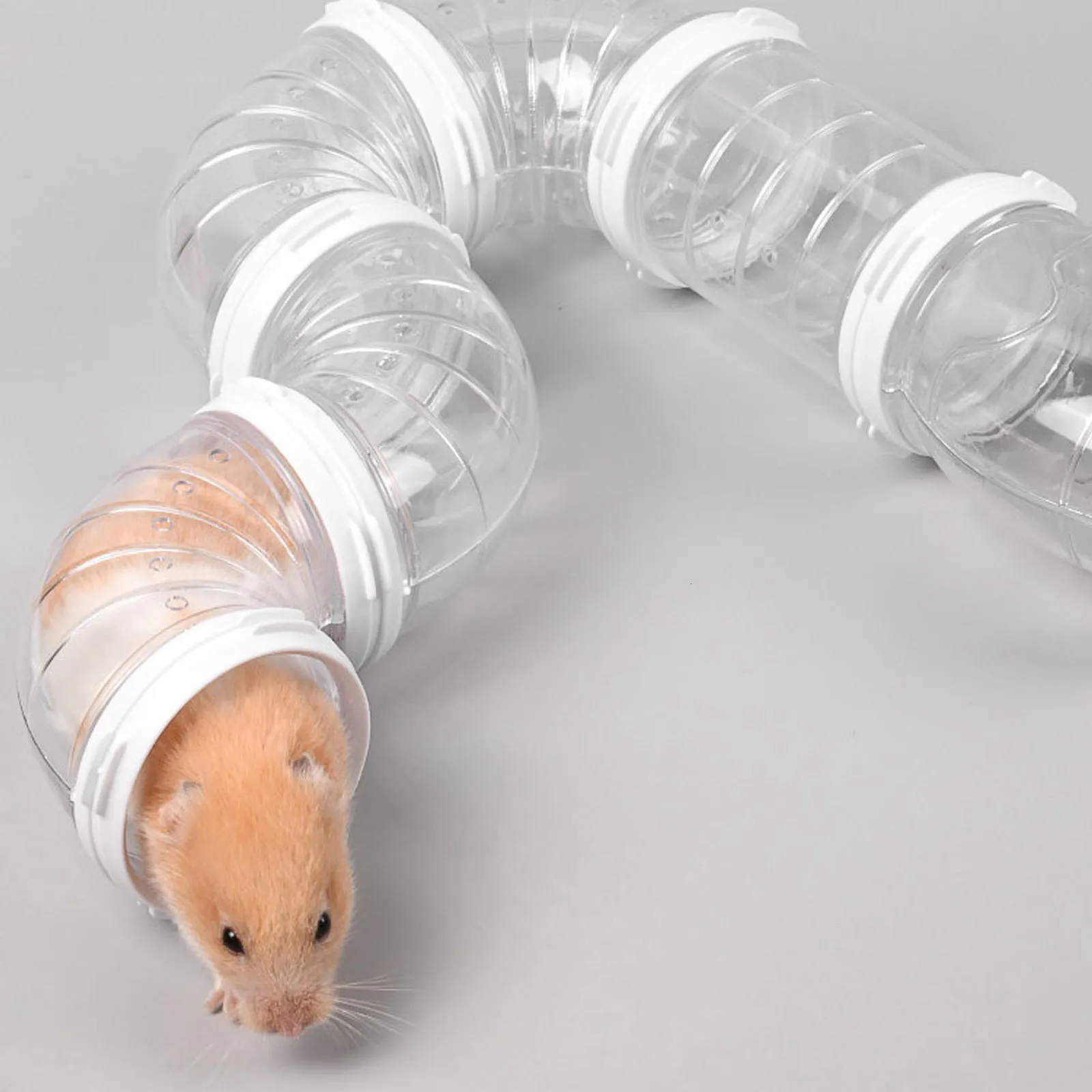 Hamster tunnel set online