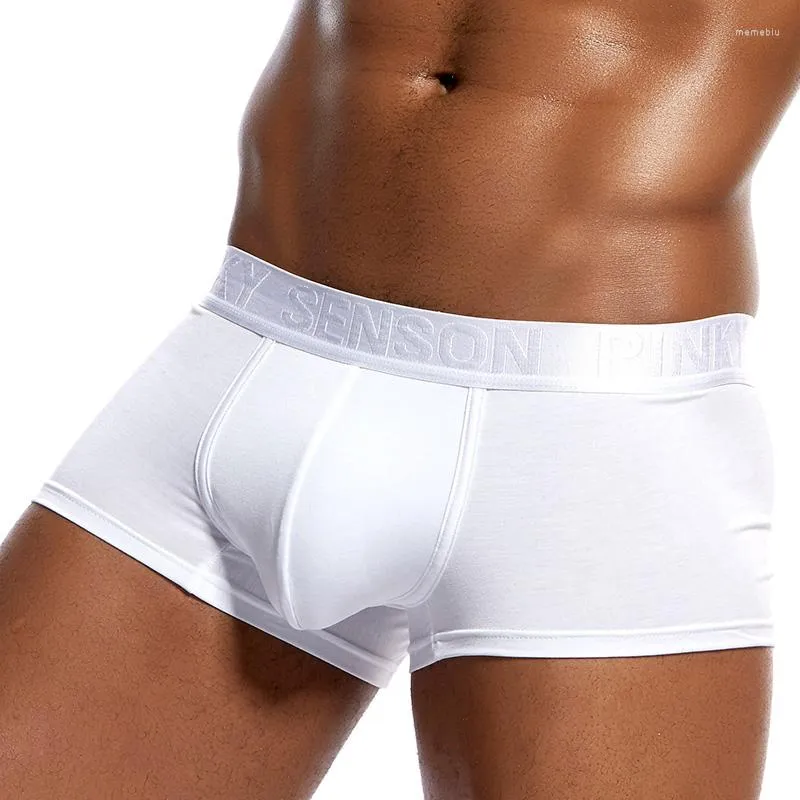 Underbyxor Pinky Senson Mens Underwear Boxers Boxer Homme Man Soft Modal Shorts Bright Belt Men Sexy Panties S08BO