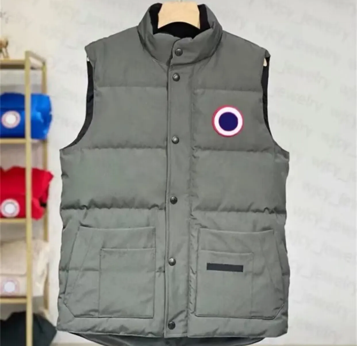 Designer Down CG Gilets CG Bodywarmer Winter Warm Canadese causaal lichaam Warmer Vest Ruff Men Winter Vest Waistcoat Gaan