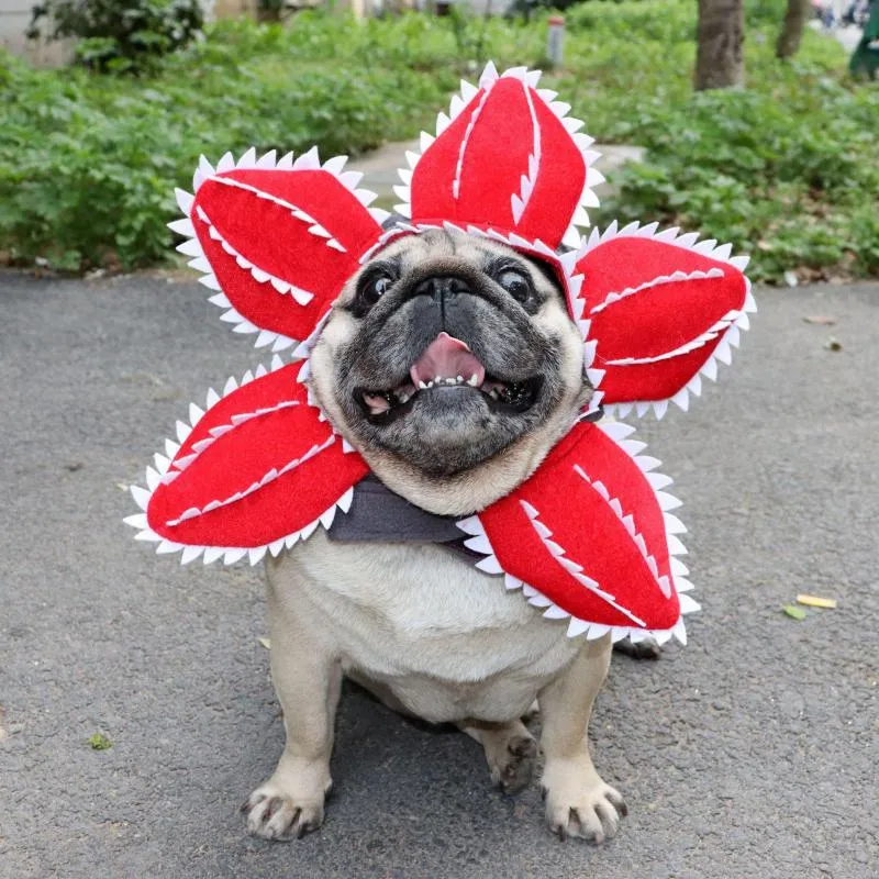 Dog Collars Dogs And Cats Funny Cannibal Flower Headgear Halloween Pet Cosplay