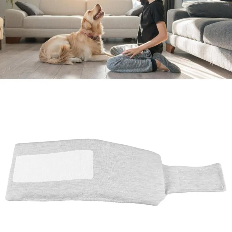 Colliers pour chiens, attelle de cou pour empêcher le léchage, respirant, confortable, facile à nettoyer, collier de récupération solide et réglable pour chiens