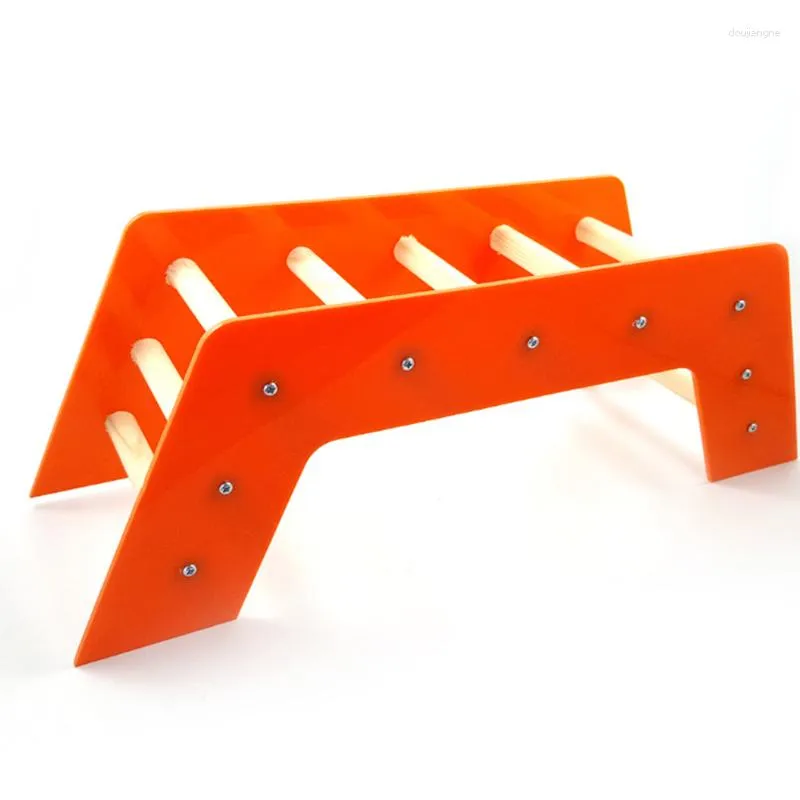 Visual Reference: Dhgate Com Parrot Training Gym Acrylic Bird Bridge Slide Ladder