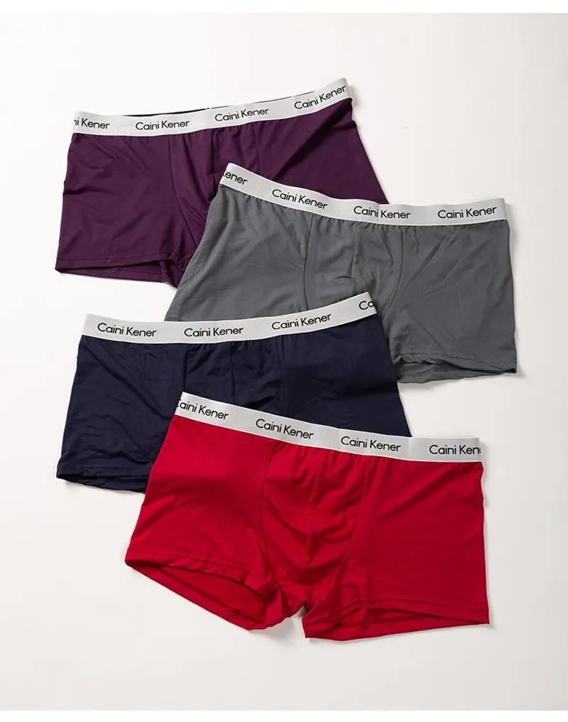 4 stks/set Designer Boxers Voor Mannen Ademend Ondergoed Boxer Mannelijke Zachte Onderbroek Man Luxe Merk Comfortabele boxershort Mannen N