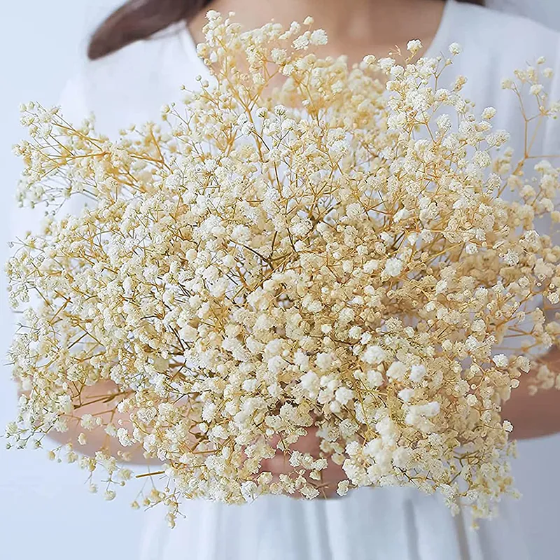 Fleurs séchées naturelles fraîches conservées Gypsophila paniculata bouquets de souffle éternel cadeau de Saint Valentin mariage décor à la maison 230923