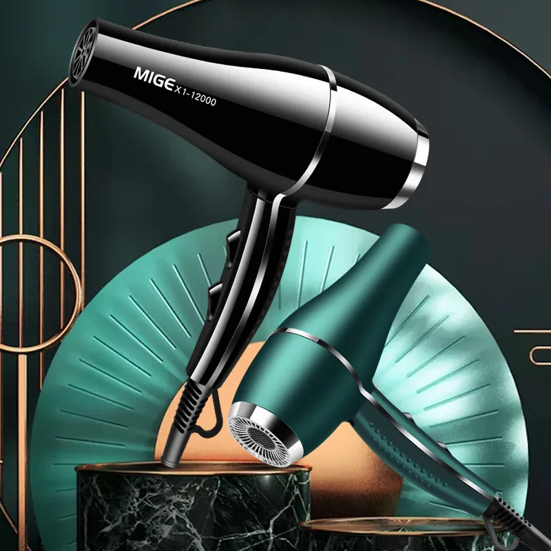 Hair Dryer, 2200W High Power Salon Class, Quick Drying 12000 Wind