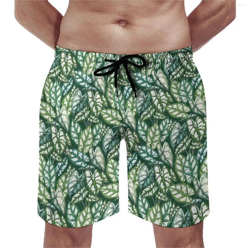 Mäns shorts Board Green Plant Retro Swimming Trunks Tropical Leaves Male Quick Tork Surfing Plus Size Beach