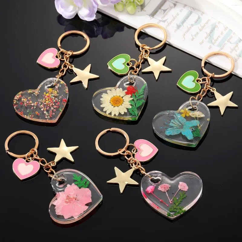 Keychains Clear Real Drooged Flower Resin Daisy Petal Heart Star Pendant Metal Key Chain Lobster Clasp Keyring Holder Party Cadeau sieraden