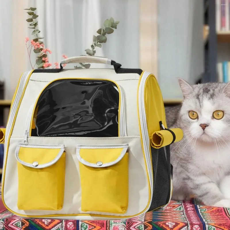 Cat walking backpack sale