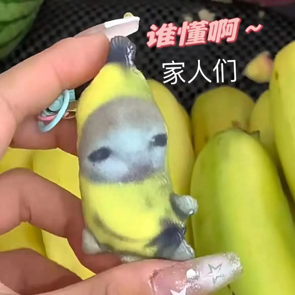 ✓ DHgate에서 확인하는 인기 $!{prodcutname}