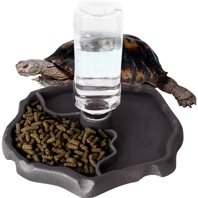 Reptile Supplies Feeders Waterer Automaticrefilling Turtle Water Dispenser Bottle Tortoise Food Bowl Feeding Dish for Lizards 230923