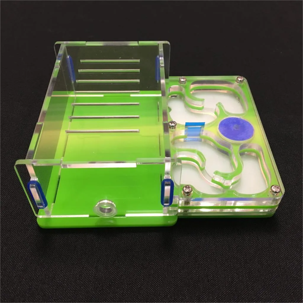 Ant Grape Ameisenfarm - Acryl Ameisennest Mit Futterplatz Für Haustierameisen