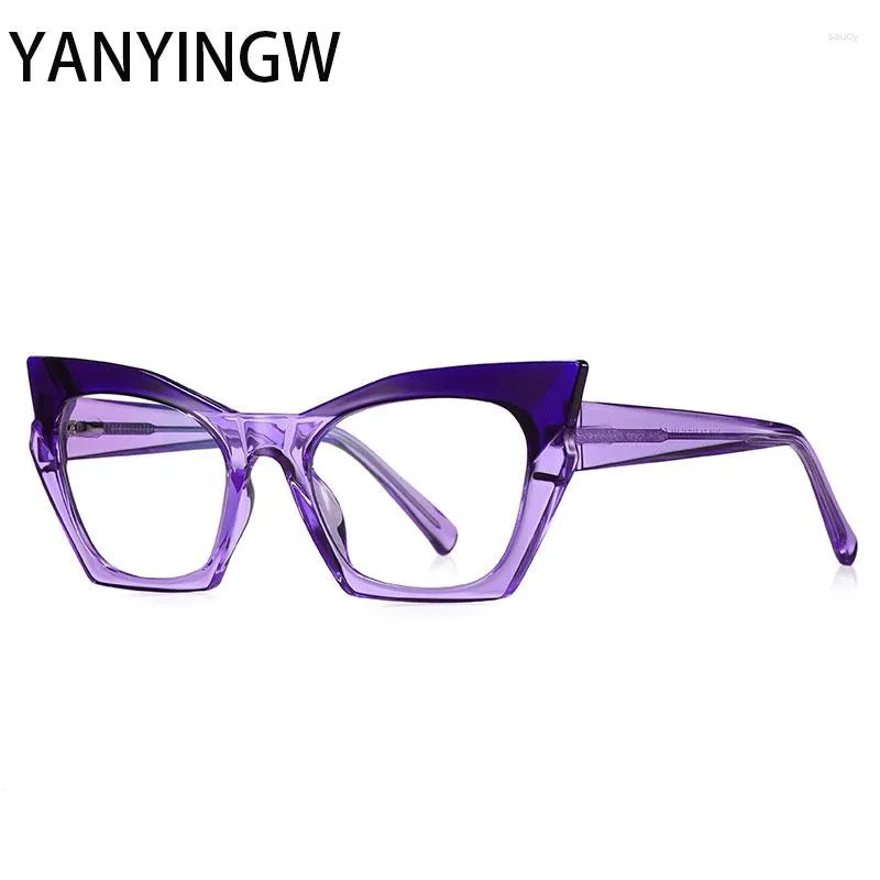 Sunglasses Fashion Optical Spectacle Frame Women's Large Size Two-color Splicing Cat Eye TR90 Anti Blue Light