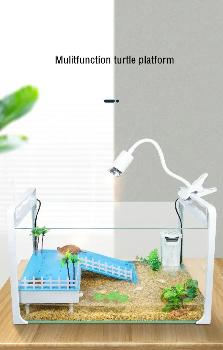 Plateforme Flottante pour Tortue et Grenouille, Rampe d