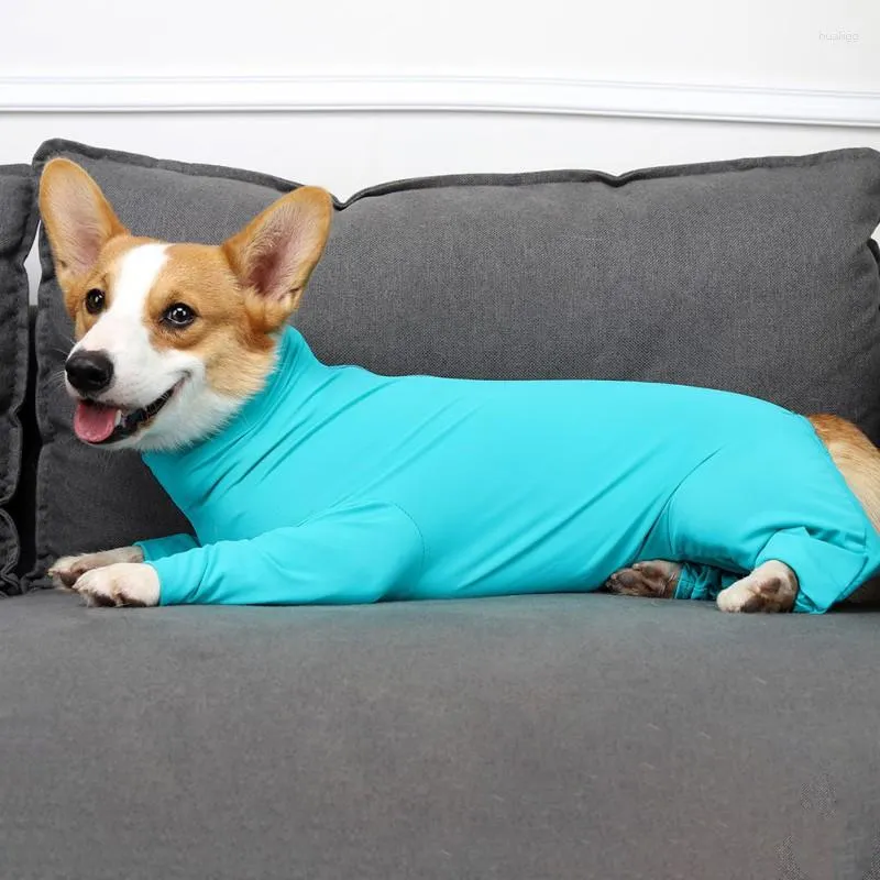Vêtements pour chiens Grands chiens Pyjamas Hiver Vêtements pour animaux de compagnie Combinaison Costume pour manteau à manches longues à quatre pattes Vêtements de récupération