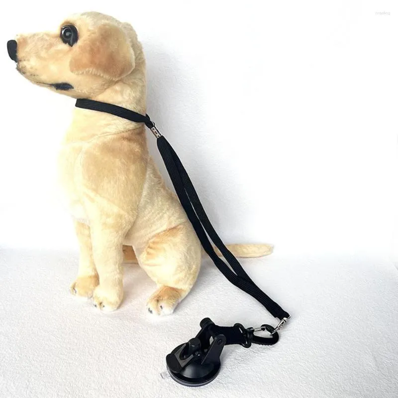 犬のアパレル9cmペットグルーミング固定吸引カップはペットが走り回らないようにしますロープクリーニング切断補助固定ツール