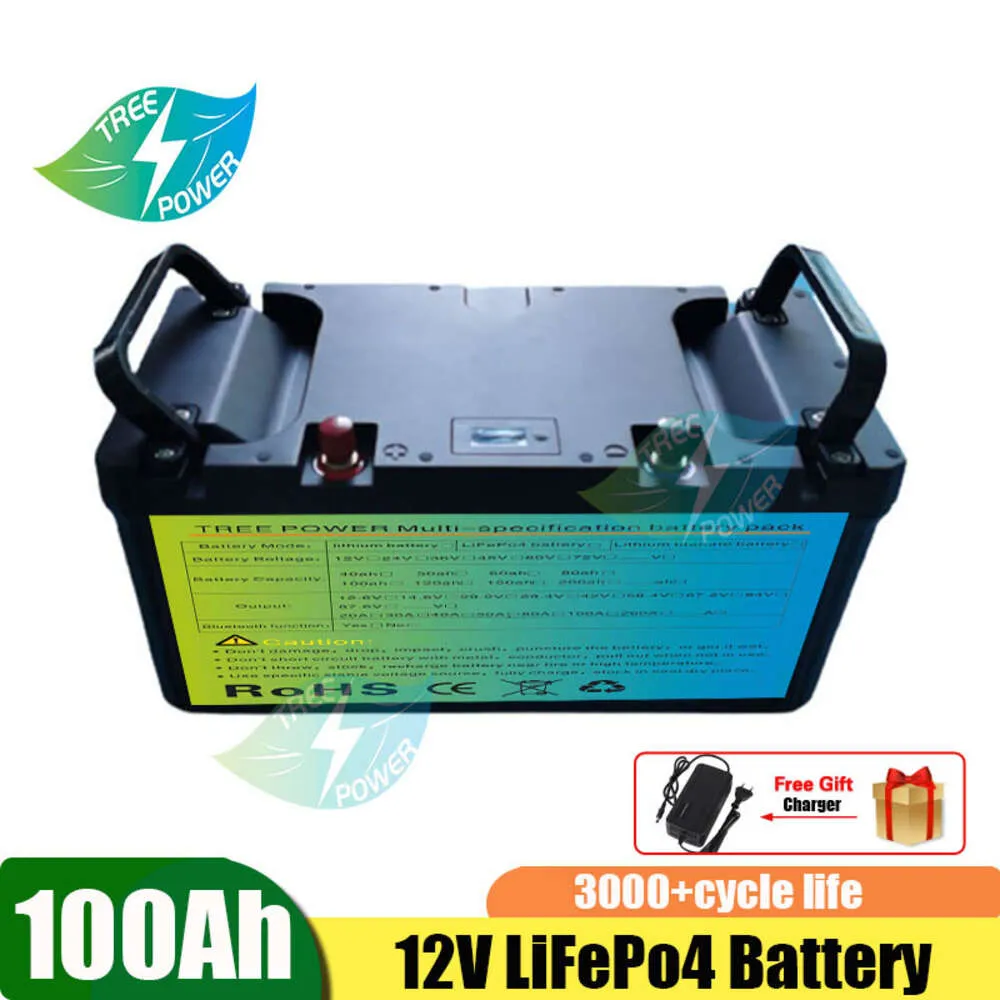 LiFEPO4 12V 100AH перезаряжаемый литий-железный аккумулятор с BMS для солнечной панели для интервью UPS + зарядное устройство 10A