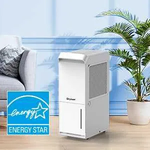 Energy Star Dehumidifier