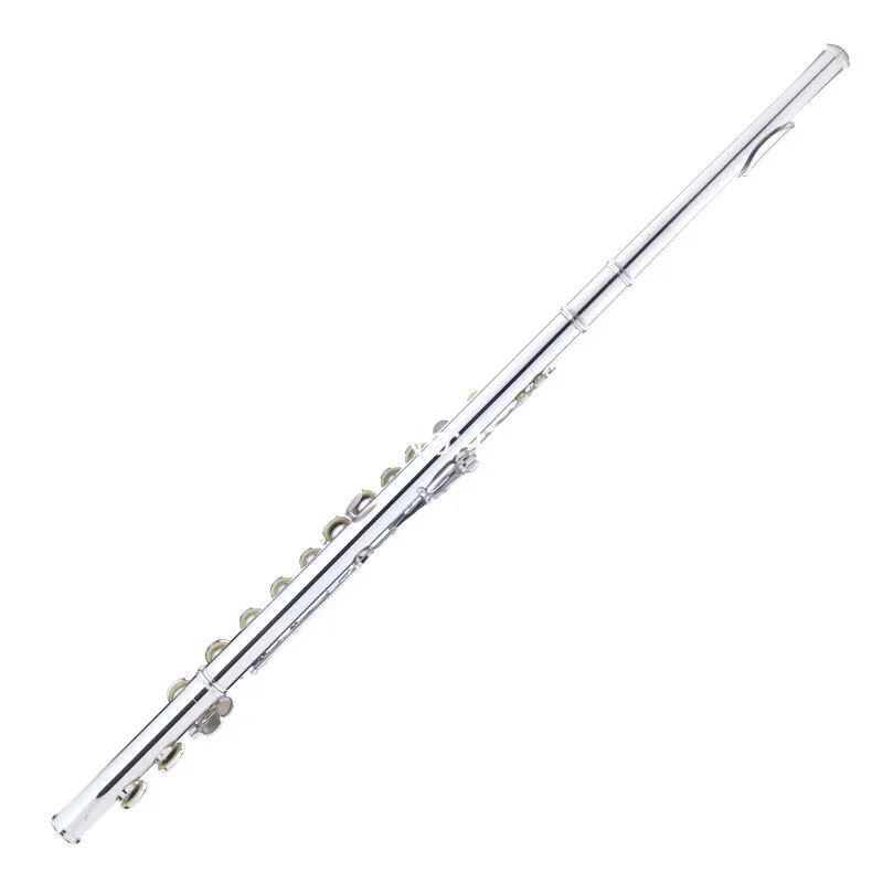 العلامة التجارية الجديدة C Tune Flute Nickel مطلية 16 مفتاحًا مغلقًا الثقوب الموسيقية مع E -key Case Shipping Free