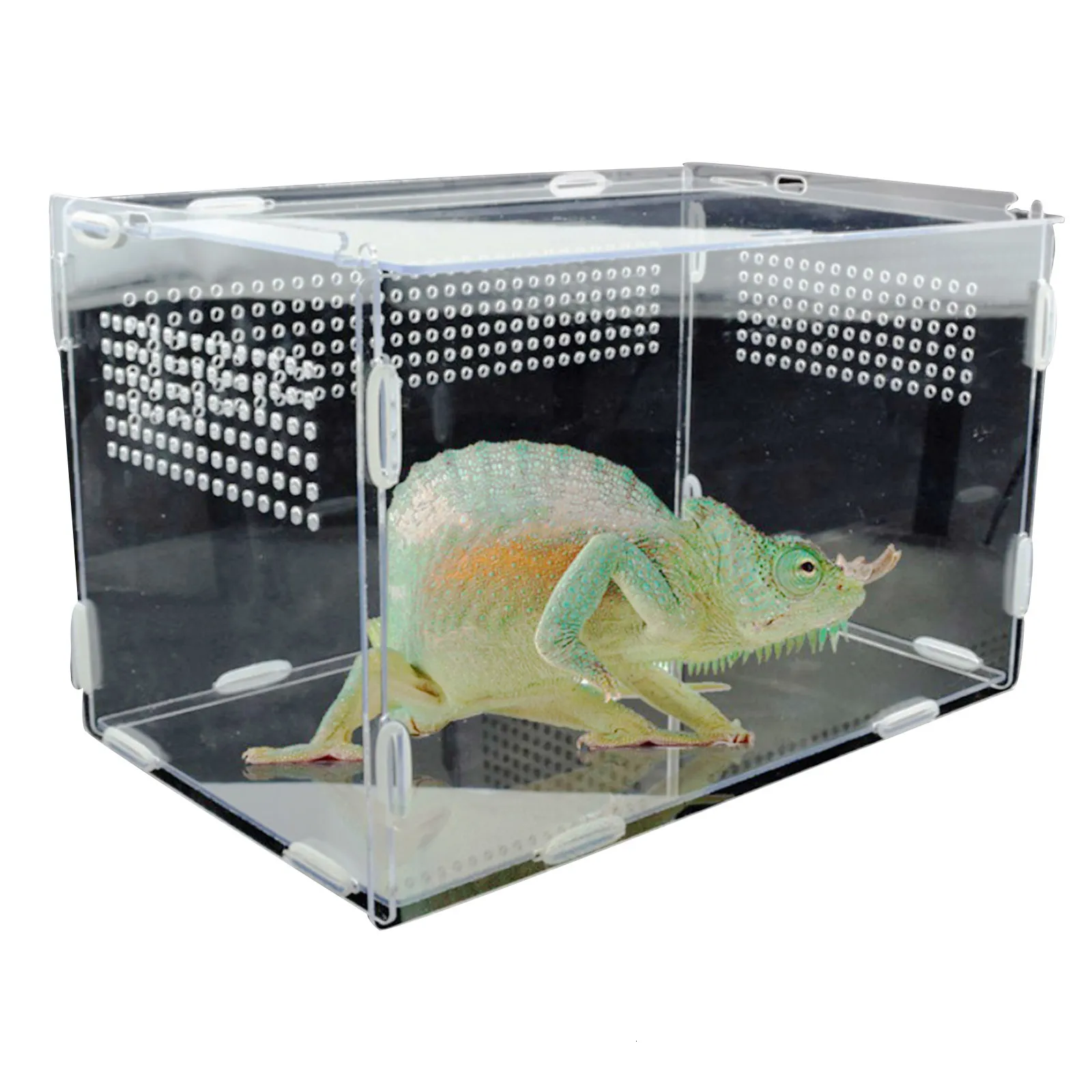 Reptilienbedarf, transparente Zuchtbox, Acryl-Fütterung, 360 Grad hoch, magnetisches Haustier-Kletterterrarium 230925