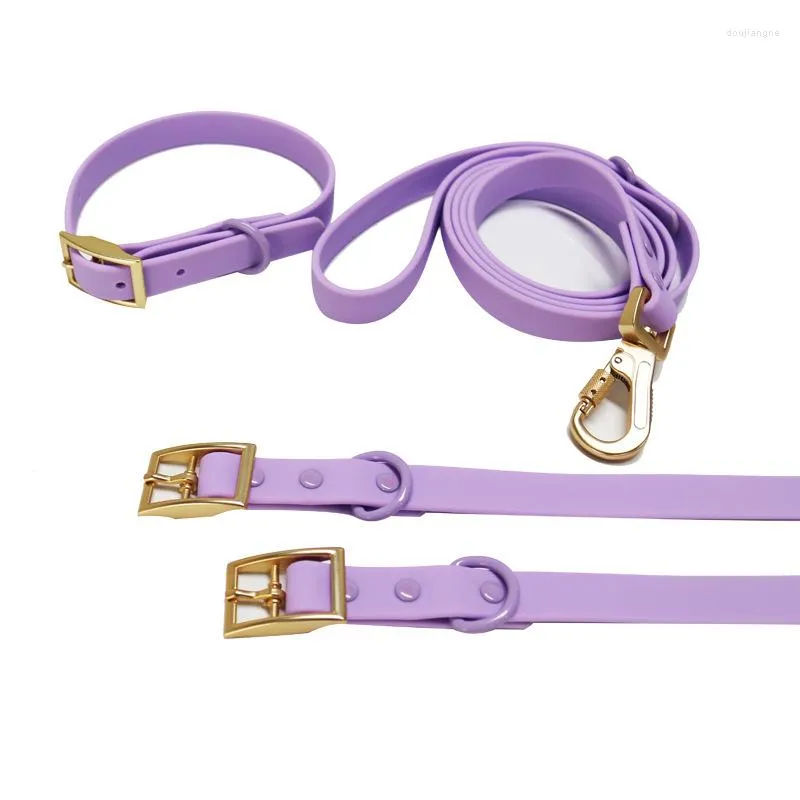 Colliers pour chiens, ensemble collier et laisse pour animaux de compagnie, étanche, réglable pour grands, moyens et petits, couleur unie, fournitures de luxe en PVC