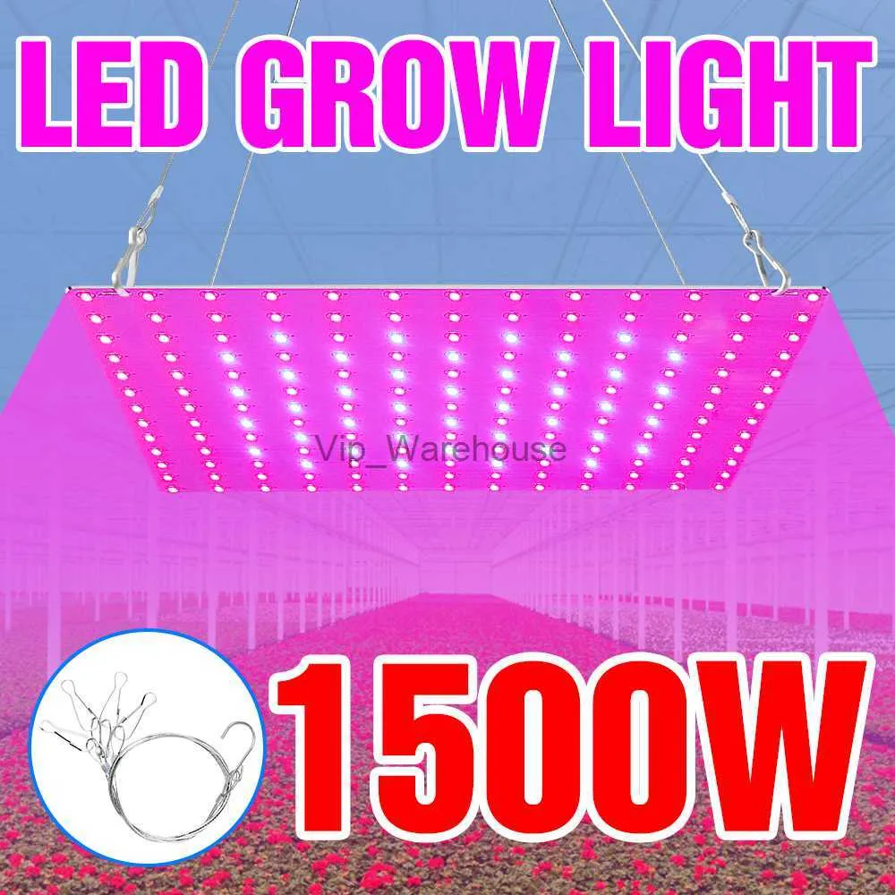 Grow Lights Led élèvent la lumière spectre complet lampe de plante hydroponique panneau quantique 1000W 1500W Led ampoule de plante pour la culture de graines de fleurs à effet de serre YQ230926