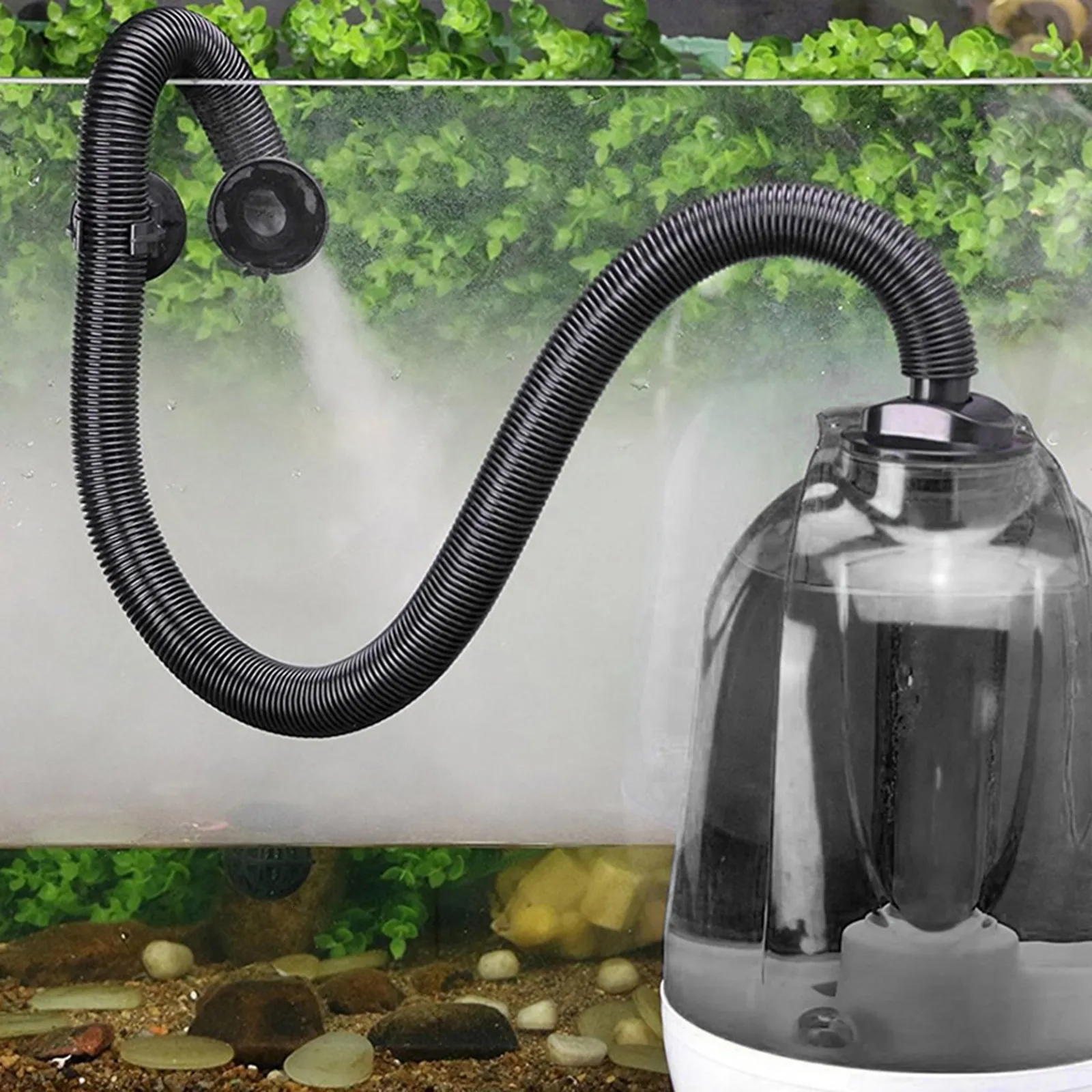 Chameleon humidifier discount