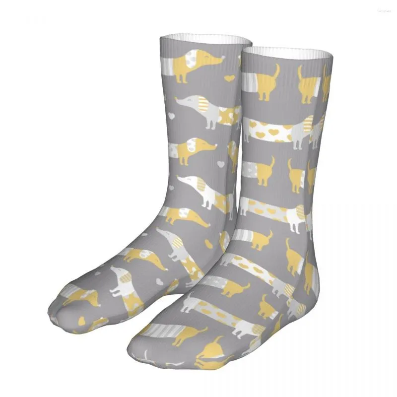 Chaussettes pour hommes et femmes, sport, chien teckel, gris, coton, Happy Women