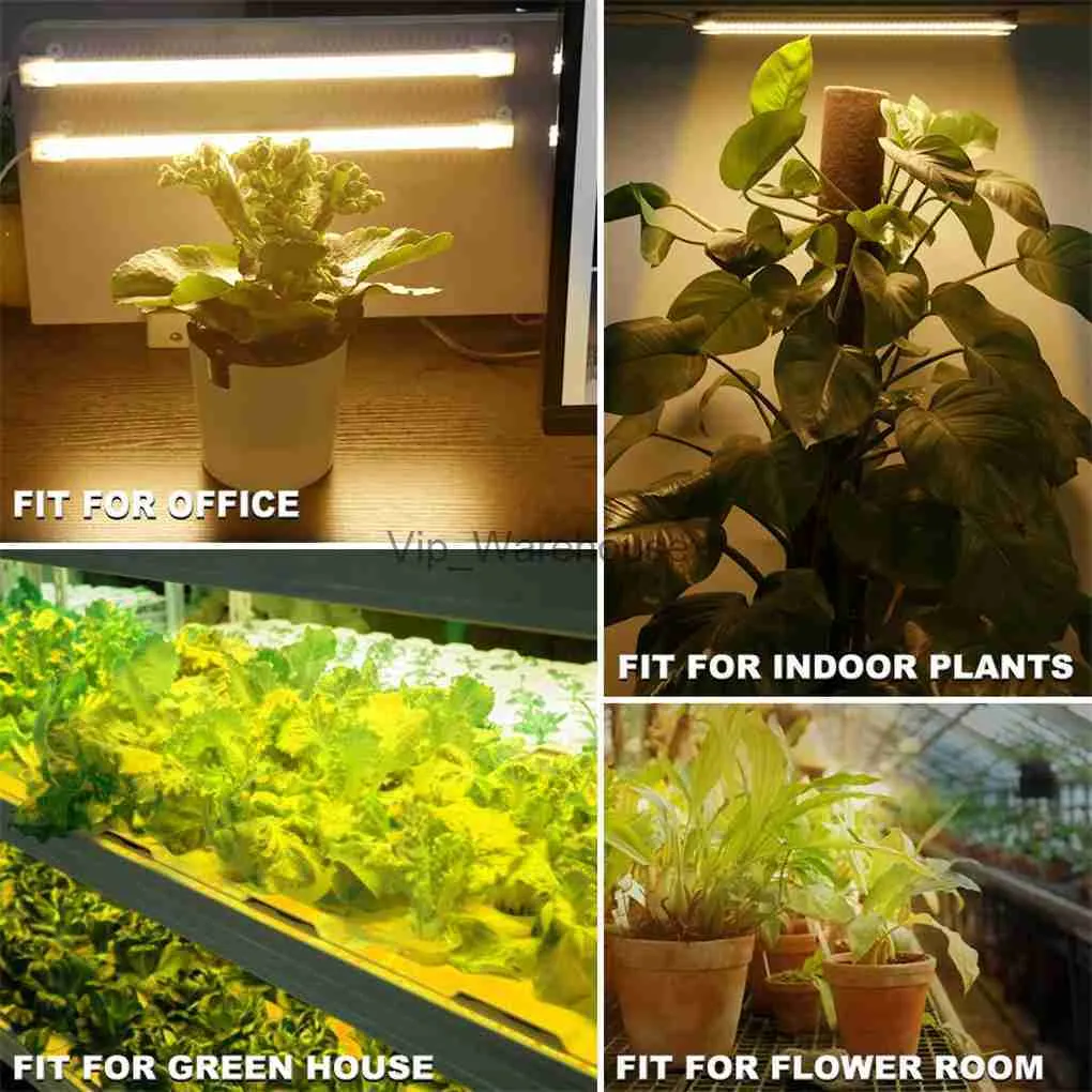 Grow Lights LED -växter odlar lampor Planteslampa med timerfunktionstillbehör EU Plug YQ230926