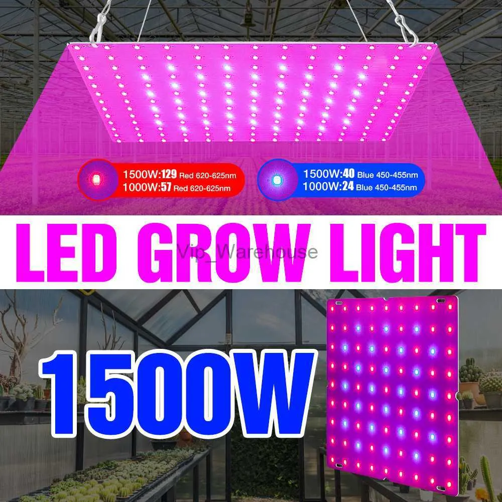 Grow Lights 220V Plant Lamp Quantum Board LED Phyto Grow Light Full Spectrum Greenhouse LightInng 1000W 1500W Fitolampy LED VEGS Flower Tent YQ230926