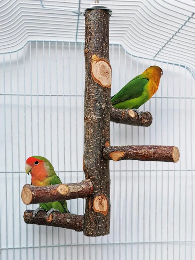 5 Reasons Why a Wood Bird Feeder Is a Must-Have for Your Garden