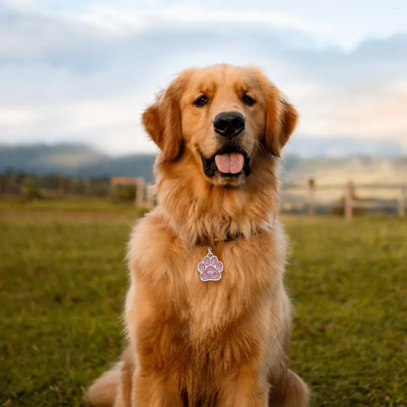 Colliers de chien 15 pièces en alliage étiquette d'identification pour animaux de compagnie forme de griffe Double face nom numéro de téléphone étiquette suspendue signe collier pendentifs fournitures