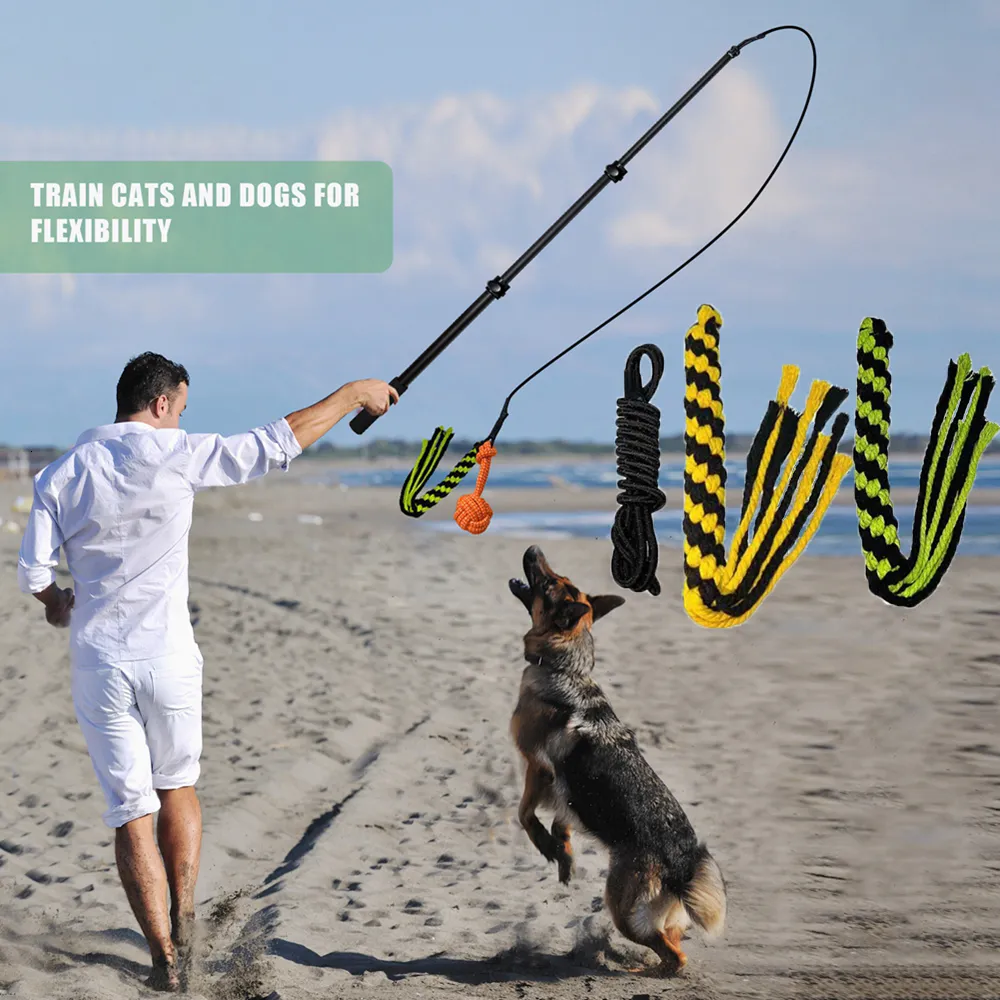 Large Dog Toys For Outside Extendable Teaser Wand Interactive Tug