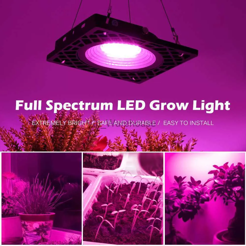 High end led grow lights outlet